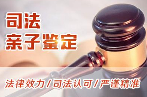 贵州司法DNA亲子鉴定条件和流程,司法DNA亲子鉴定采集什么样本