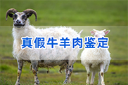 贵州羊类动物鉴定